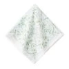 Juliska Iberian Pastel Napkin Sage