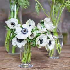 Juliska Graham Posey Glass Vase -Juliska Sales unnamed file 472