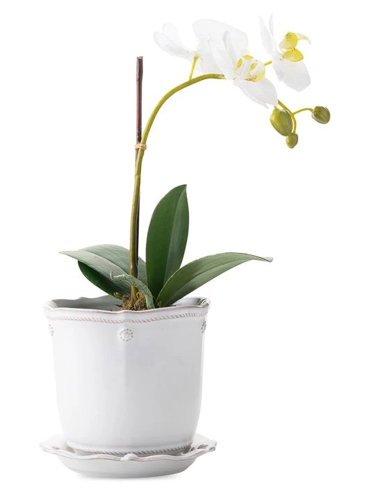 Juliska Berry & Thread Whitewash 2-Piece Planter & Saucer Set 4 Juliska Berry & Thread Whitewash 2-Piece Planter & Saucer Set - Image 2